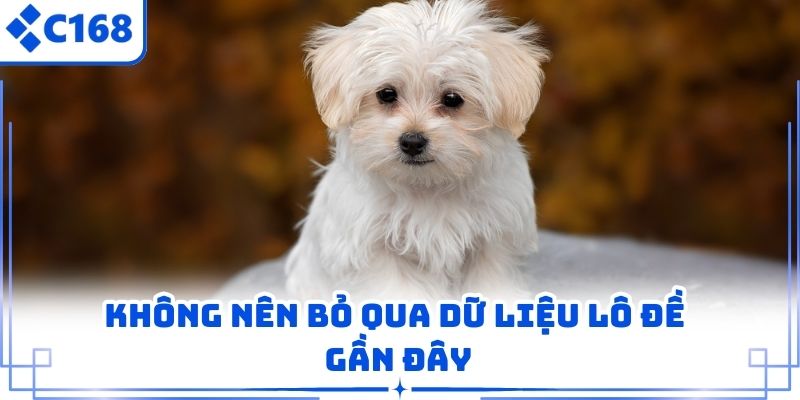 Không nên bỏ qua dữ liệu lô đề gần đây