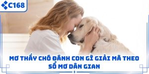 Mơ Thấy Chó Đánh Con Gì Giải Mã Theo Sổ Mơ Dân Gian